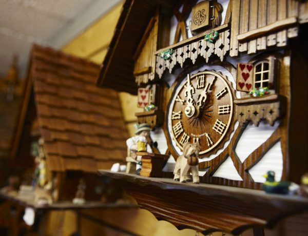 Triberg com Guia Brasileiro: Natureza Exuberante e Símbolos Clássicos da Floresta Negra