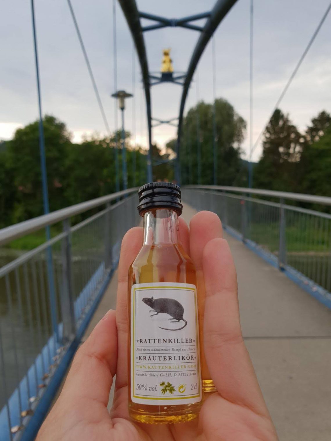 Guia brasileiro em Hamelin na Rota dos Contos de Fadas