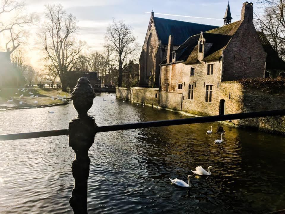 Guia brasileiro em Bruges