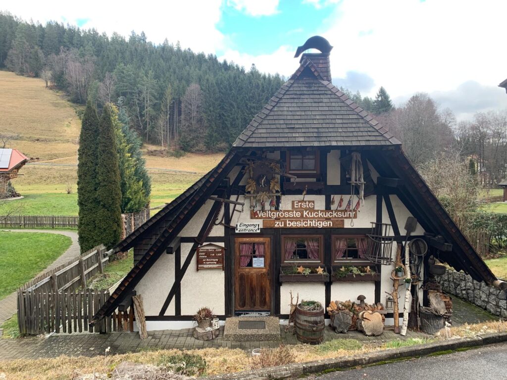 Triberg com Guia Brasileiro: Natureza Exuberante e Símbolos Clássicos da Floresta Negra