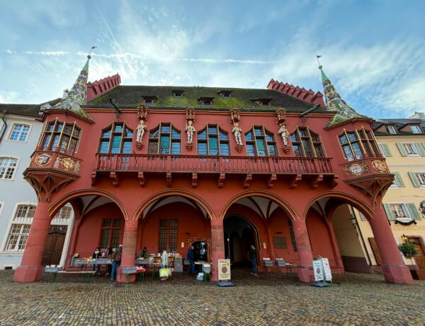 Freiburg com Guia Brasileiro: a cidade mais solar e vibrante na Floresta Negra - Foto de Denise Cusack no Pexels