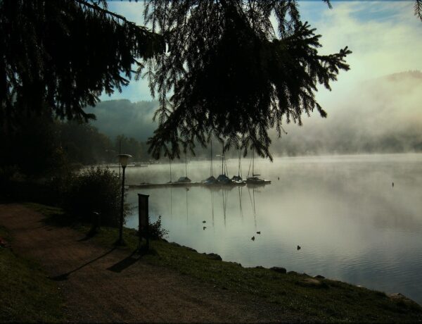 Lago Titisee na Floresta Negra: Guia com Motorista Brasileiro - Imagem de Gerd Altmann por Pixabay