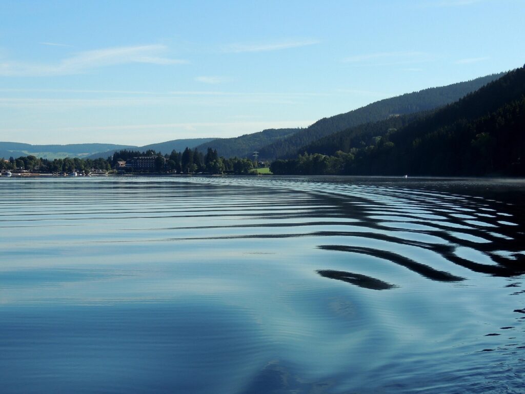 Lago Titisee na Floresta Negra: Guia com Motorista Brasileiro - Imagem de Nancy Larocque por Pixabay

