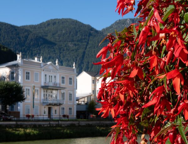 Bad Ischl - Foto de Peter Lahnsteiner no Pexels